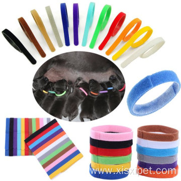 Adjustable ID Collars Puppy Kitten Dog Pet Cat